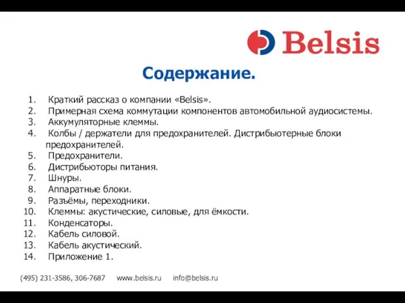 (495) 231-3586, 306-7687 www.belsis.ru info@belsis.ru Содержание. Краткий рассказ о компании «Belsis». Примерная