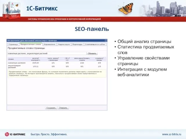 SEO-панель Общий анализ страницы Статистика продвигаемых слов Управление свойствами страницы Интеграция с модулем веб-аналитики