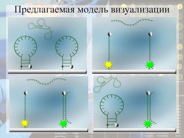 Предлагаемая модель визуализации