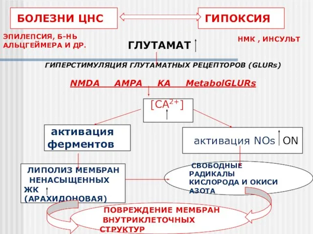 БОЛЕЗНИ ЦНС ГИПОКСИЯ ЭПИЛЕПСИЯ, Б-НЬ АЛЬЦГЕЙМЕРА И ДР. ГЛУТАМАТ ГИПЕРСТИМУЛЯЦИЯ ГЛУТАМАТНЫХ РЕЦЕПТОРОВ