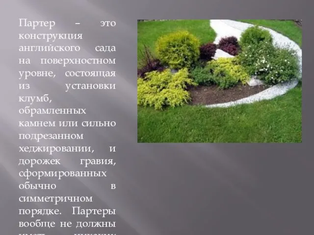 Партер – это конструкция английского сада на поверхностном уровне, состоящая из установки