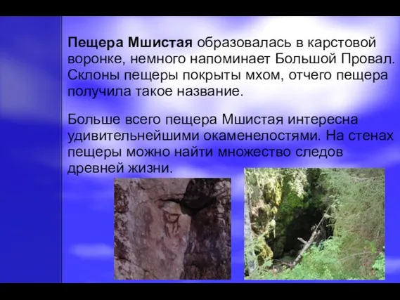 Пещера Мшистая образовалась в карстовой воронке, немного напоминает Большой Провал. Склоны пещеры