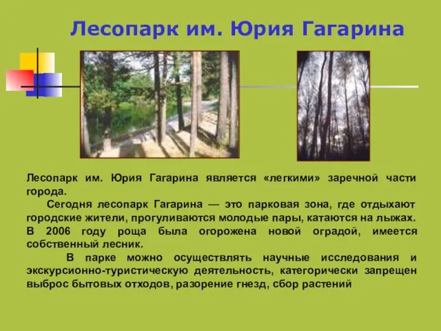 Лесопарк им. Юрия Гагарина является «легкими» заречной части города. Сегодня лесопарк Гагарина