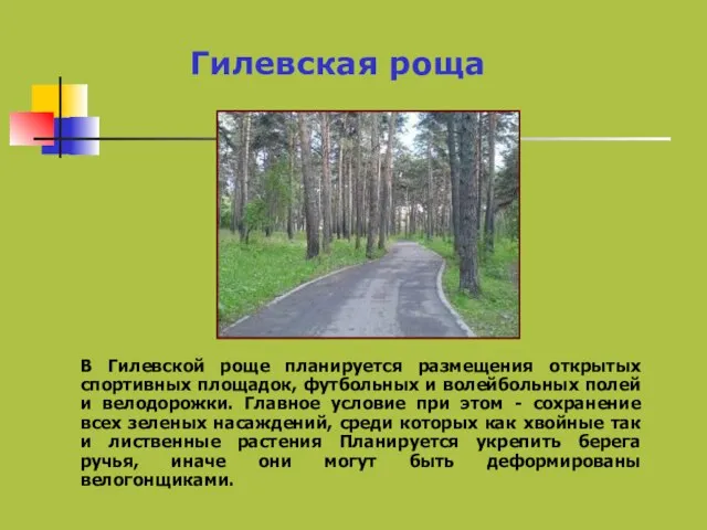 В Гилевской роще планируется размещения открытых спортивных площадок, футбольных и волейбольных полей