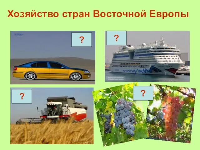 Хозяйство стран Восточной Европы ? ? ? ?