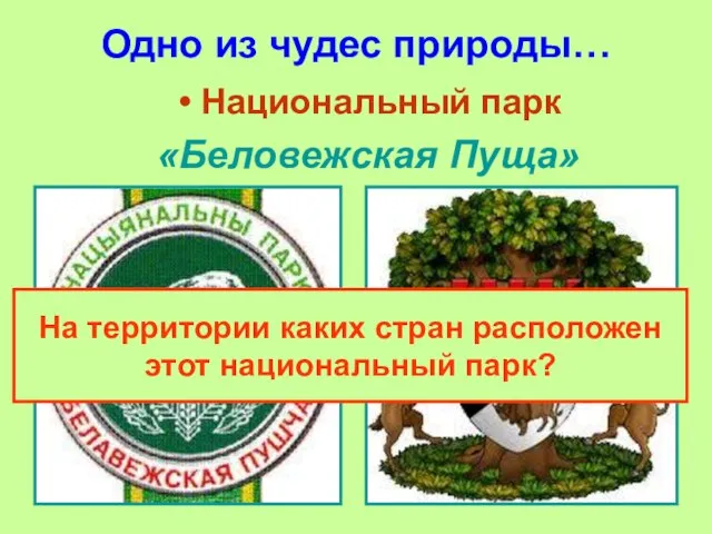 Одно из чудес природы… Национальный парк «Беловежская Пуща» На территории каких стран расположен этот национальный парк?