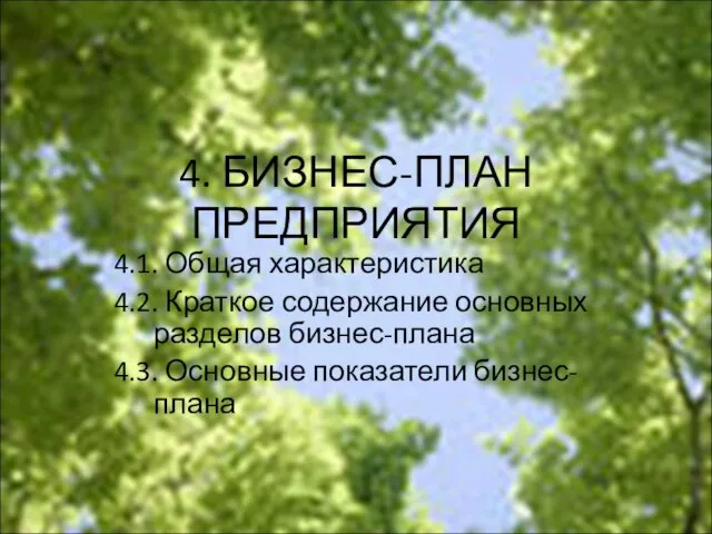 4. БИЗНЕС-ПЛАН ПРЕДПРИЯТИЯ 4.1. Общая характеристика 4.2. Краткое содержание основных разделов бизнес-плана 4.3. Основные показатели бизнес-плана