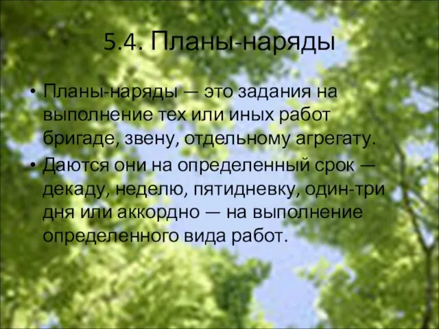 5.4. Планы-наряды Планы-наряды — это задания на выполнение тех или иных работ