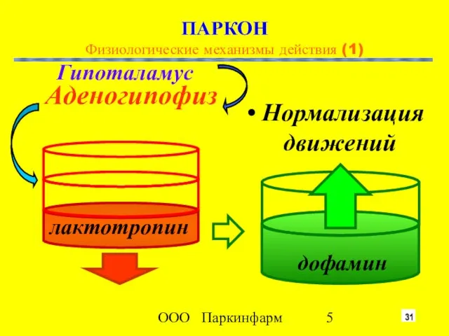 ООО Паркинфарм Аденогипофиз Гипоталамус ПАРКОН Физиологические механизмы действия (1) Нормализация движений дофамин лактотропин