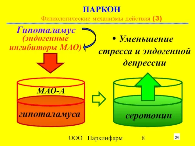 ООО Паркинфарм ПАРКОН Физиологические механизмы действия (3) (эндогенные ингибиторы МАО) Уменьшение стресса