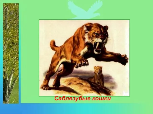 Саблезубые кошки