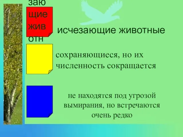 исчезающие животные исчезающие животные сохраняющиеся, но их численность сокращается не находятся под