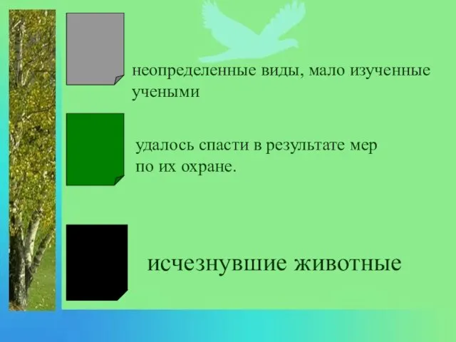 неопределенные виды, мало изученные учеными удалось спасти в результате мер по их охране. исчезнувшие животные