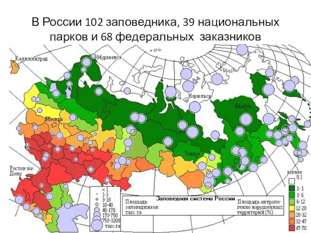 В России 102 заповедника, 39 национальных парков и 68 федеральных заказников