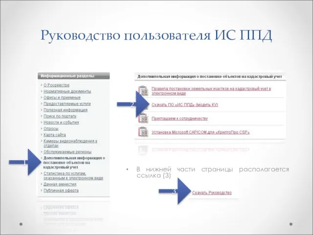 Руководство пользователя ИС ППД В нижней части страницы располагается ссылка (3) 1 2 3