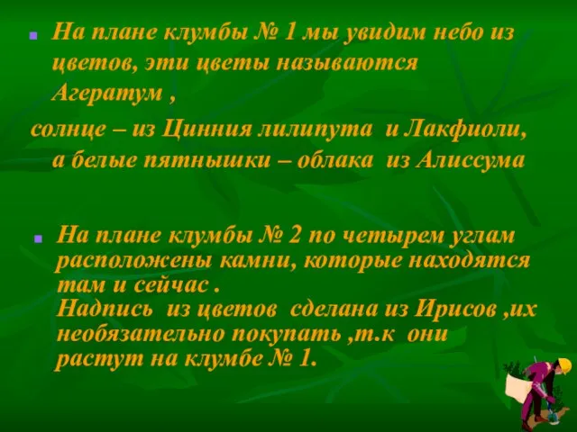 На плане клумбы № 1 мы увидим небо из цветов, эти цветы