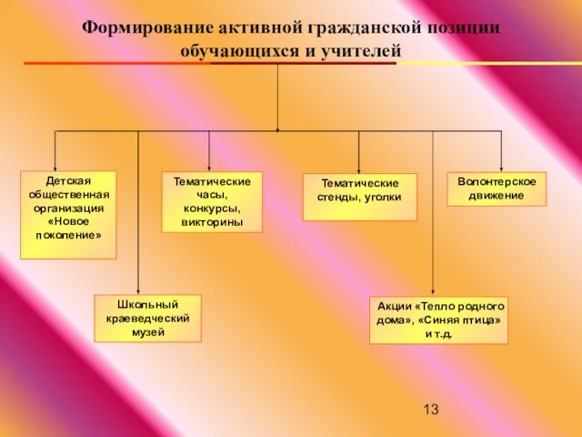 Формирование активной гражданской позиции обучающихся и учителей Детская общественная организация «Новое поколение»