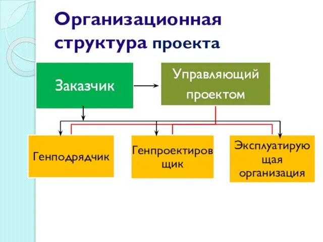 Организационная структура проекта