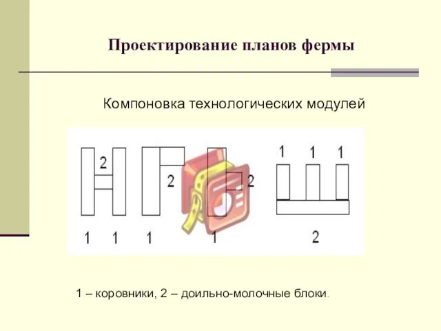 Проектирование планов фермы 1 – коровники, 2 – доильно-молочные блоки. Компоновка технологических модулей