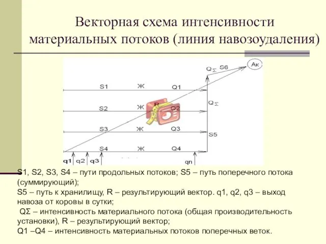 Векторная схема интенсивности материальных потоков (линия навозоудаления) S1, S2, S3, S4 –