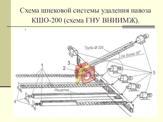 Схема шнековой системы удаления навоза КШО-200 (схема ГНУ ВНИИМЖ).