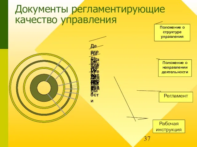 Положение о структуре управления Положение о направлении деятельности Регламент Рабочая инструкция Документы регламентирующие качество управления