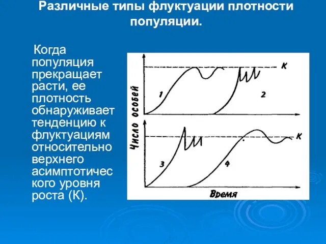 Различные типы флуктуации плотности популяции. Когда популяция прекращает расти, ее плотность обнаруживает