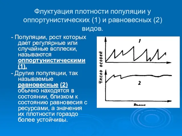 Флуктуация плотности популяции у оппортунистических (1) и равновесных (2) видов. - Популяции,