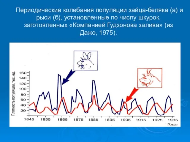 Периодические колебания популяции зайца-беляка (а) и рыси (б), установленные по числу шкурок,