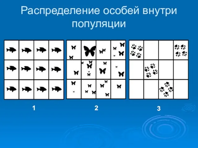 Распределение особей внутри популяции 1 2 3