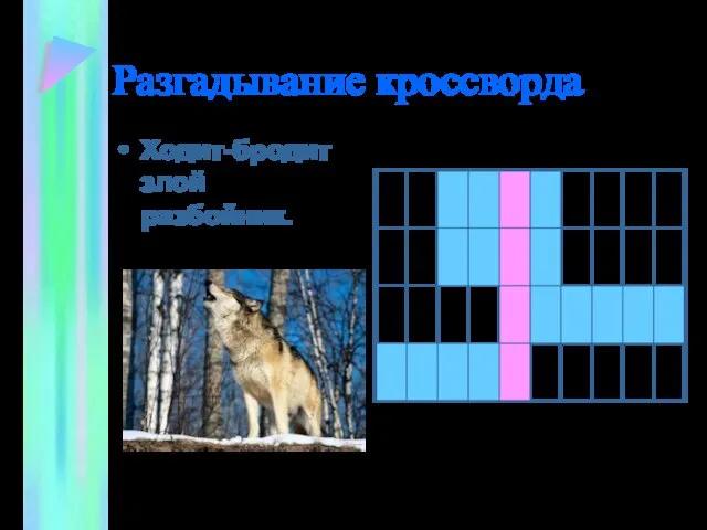 Разгадывание кроссворда Ходит-бродит злой разбойник.