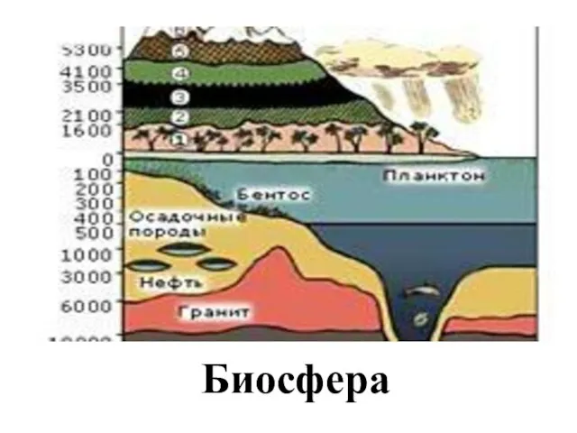 Биосфера