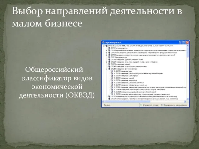 Выбор направлений деятельности в малом бизнесе Общероссийский классификатор видов экономической деятельности (ОКВЭД)