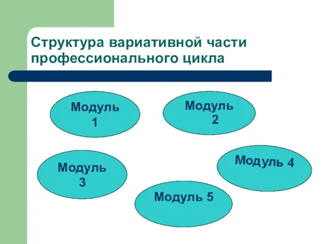 Структура вариативной части профессионального цикла Модуль 1 Модуль 3 Модуль 2 Модуль 4 Модуль 5