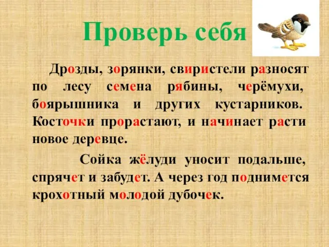 Проверь себя Дрозды, зорянки, свиристели разносят по лесу семена рябины, черёмухи, боярышника