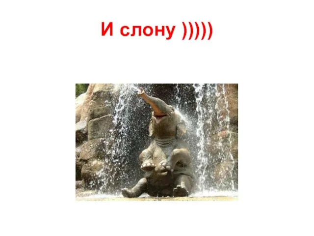 И слону )))))