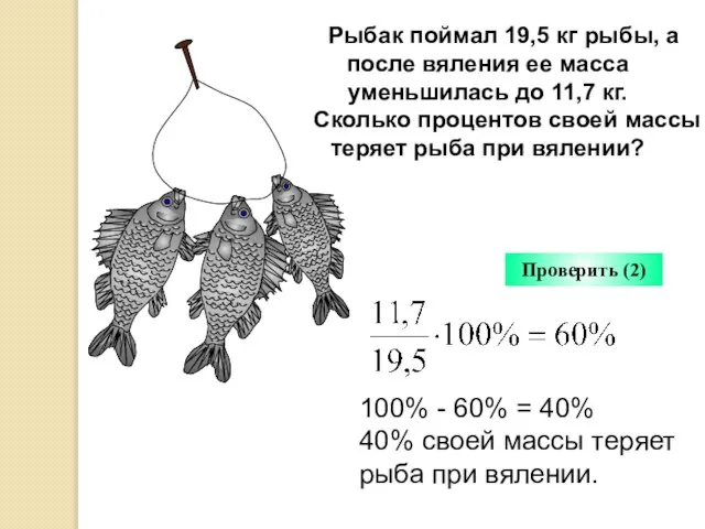 Рыбак поймал 19,5 кг рыбы, а после вяления ее масса уменьшилась до