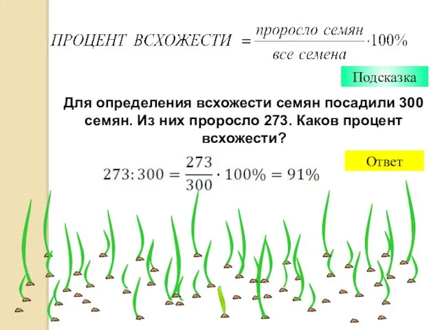 Для определения всхожести семян посадили 300 семян. Из них проросло 273. Каков процент всхожести? Подсказка Ответ