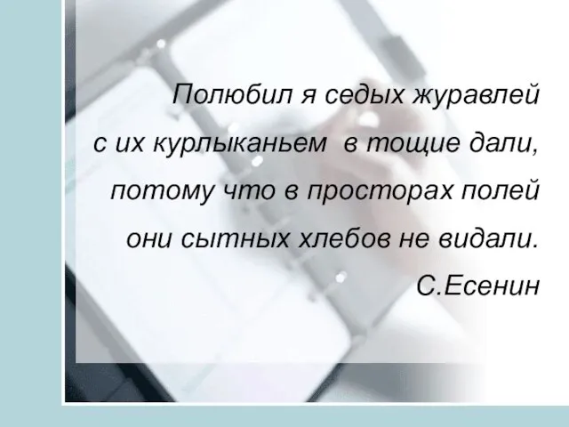 Полюбил я седых журавлей с их курлыканьем в тощие дали, потому что