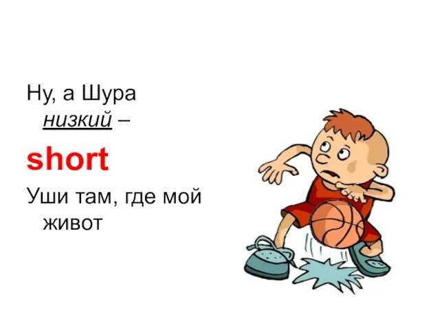 Ну, а Шура низкий – short Уши там, где мой живот