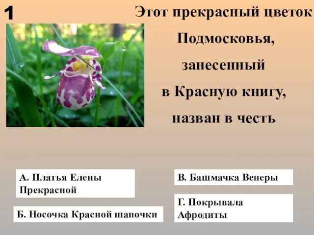 А. Платья Елены Прекрасной Г. Покрывала Афродиты Б. Носочка Красной шапочки В.