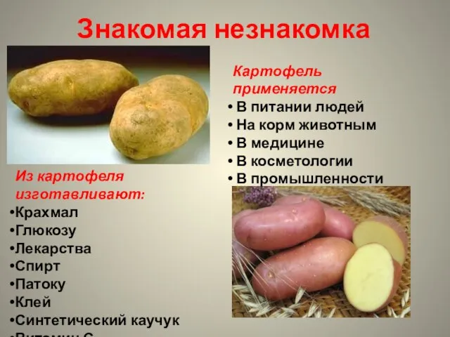 Знакомая незнакомка Картофель применяется В питании людей На корм животным В медицине