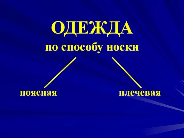 ОДЕЖДА по способу носки поясная плечевая