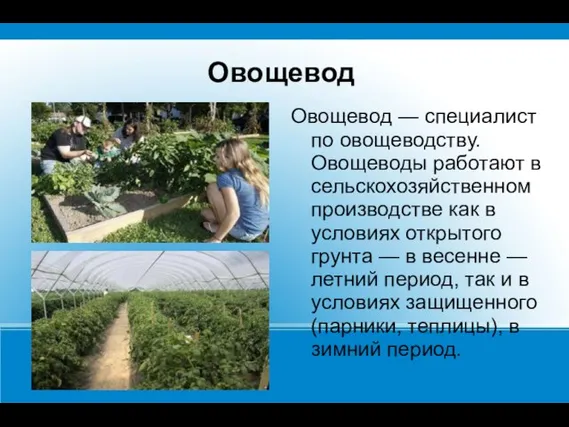 Овощевод Овощевод — специалист по овощеводству. Овощеводы работают в сельскохозяйственном производстве как