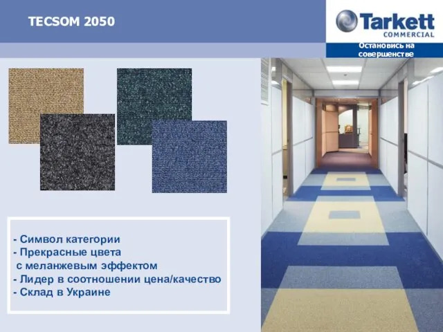 TECSOM 2050 - Символ категории - Прекрасные цвета с меланжевым эффектом -