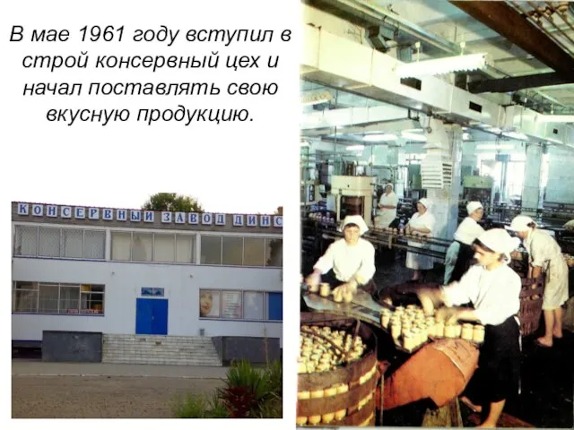 В мае 1961 году вступил в строй консервный цех и начал поставлять свою вкусную продукцию.