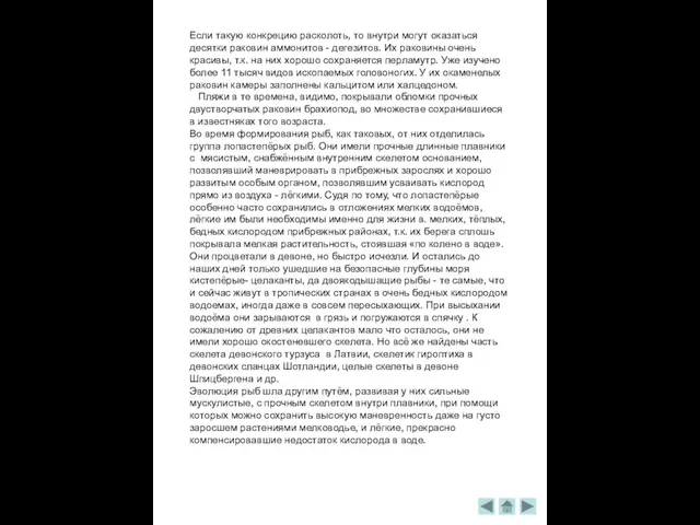 Если такую конкрецию расколоть, то внутри могут оказаться десятки раковин аммонитов -