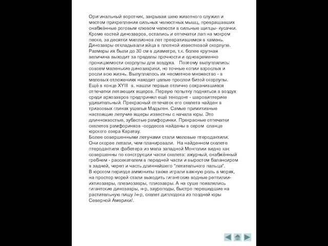 Оригинальный воротник, закрывая шею животного служил и местом прикрепления сильных челюстных мышц,