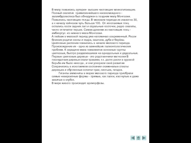 В мелу появились эутерии- высшие настоящие млекопитающие. Полный скелетик примитивнейшего насекомоядного -