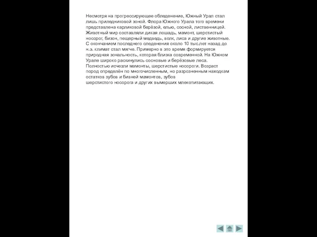 Несмотря на прогрессирующее обледенение, Южный Урал стал лишь приледниковой зоной. Флора Южного